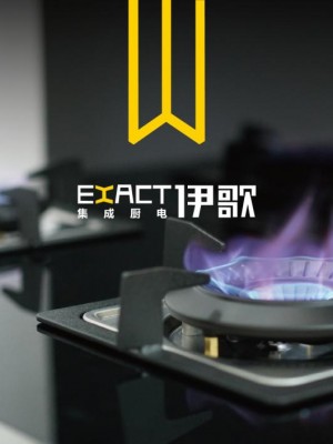 伊歌厨电成厨电市场黑马，深耕品牌赢取未来