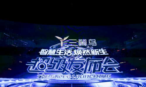 三翼鸟，用两年开启下一个十年