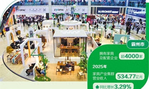 河北霸州：巧解家具产业发展难题 闯出集群升级新路